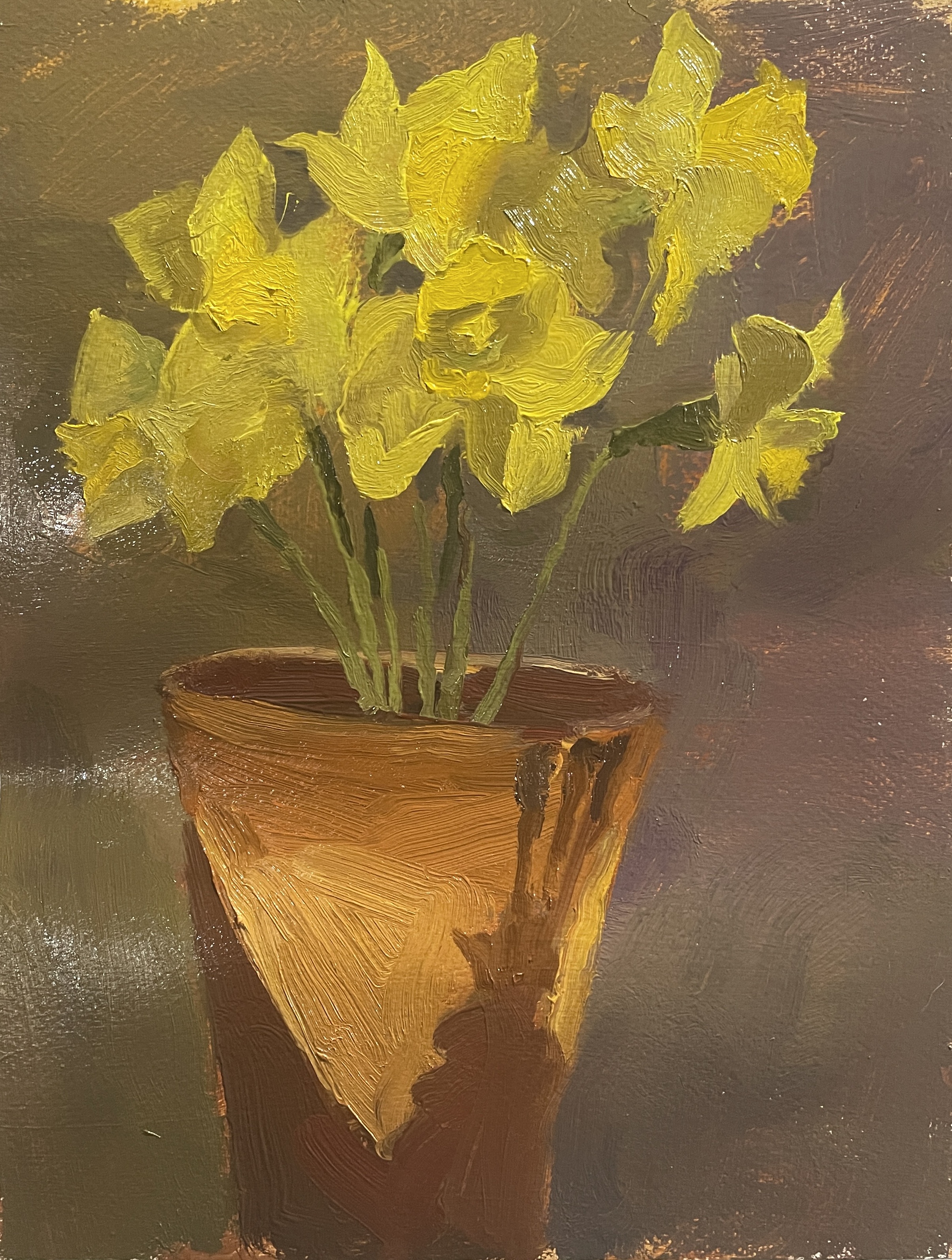 Daffodils