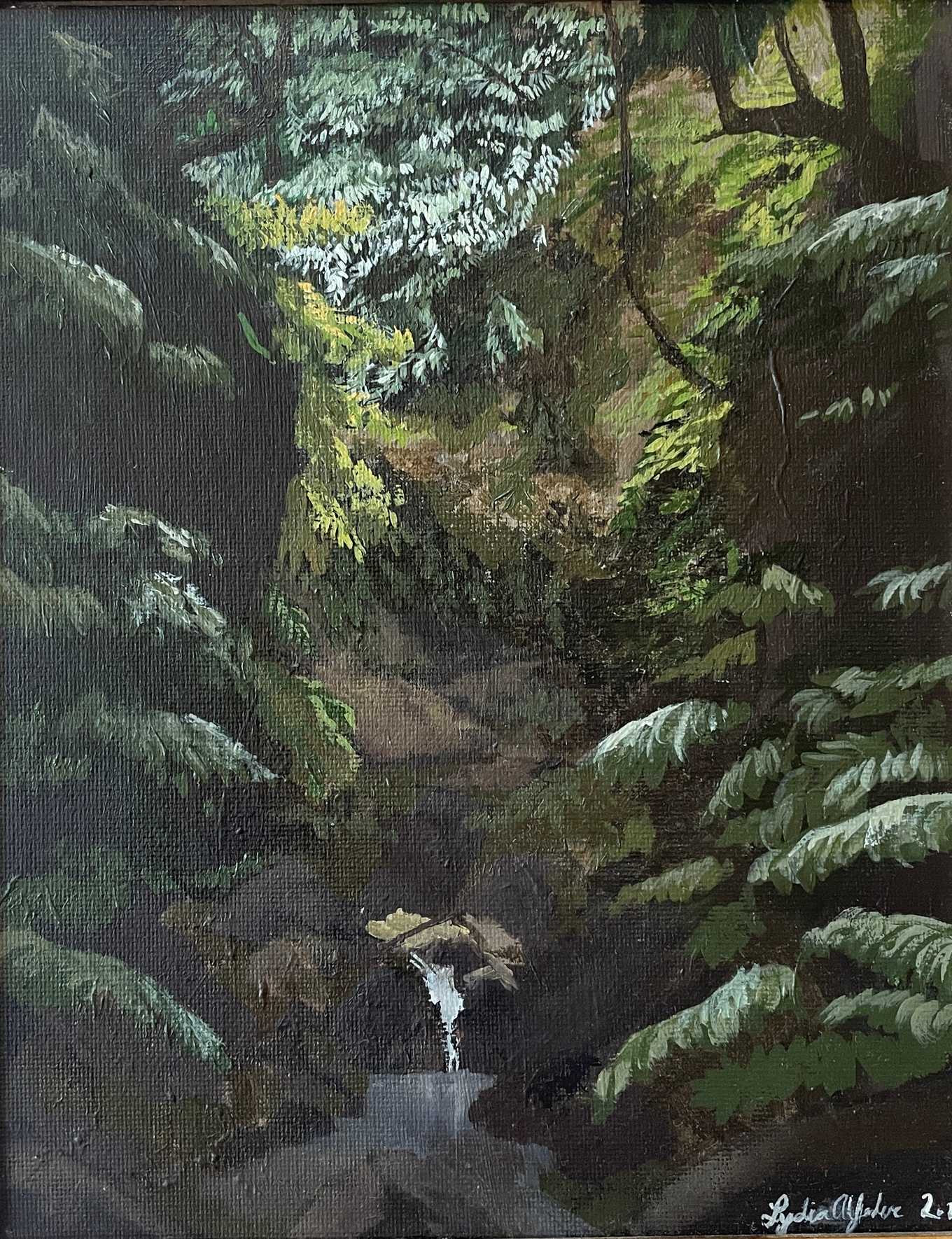 Stream in the Woods 2.JPG