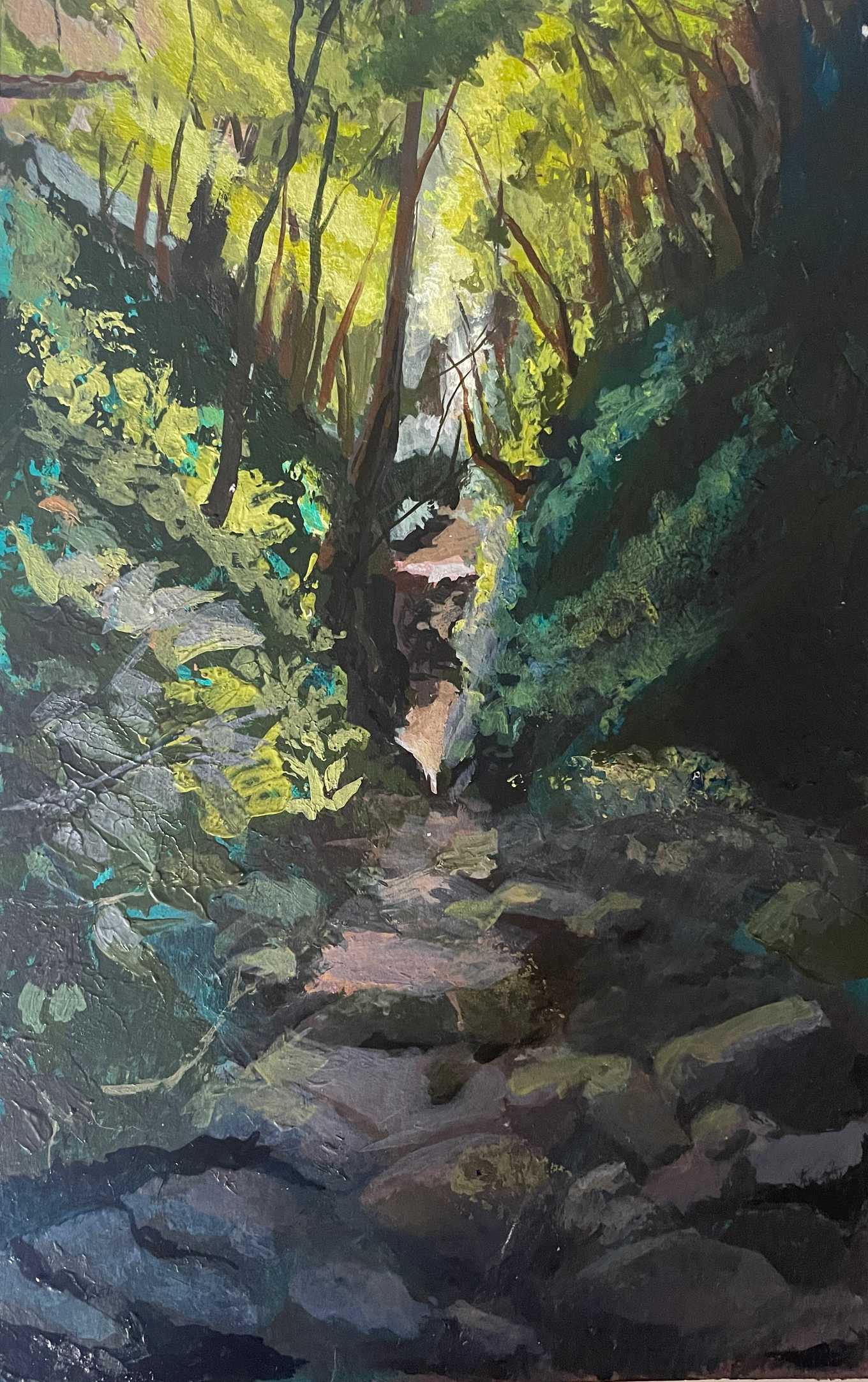 Light in the Woods 2.JPG